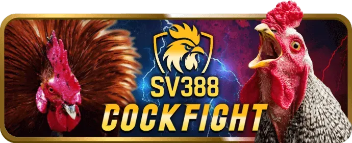 Cá cược Đá Gà